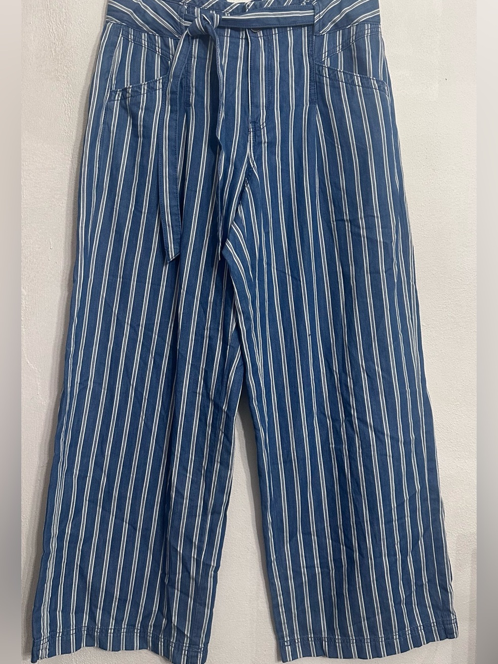 American Eagle Outfitters Blue and White Vertical Stripe Wide-Leg Pants Size 8 - Picture 5 of 14